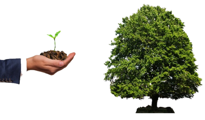 ARBRE + MAIN 2